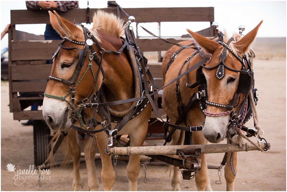 Cheyenne Wyoming Photographer_0435