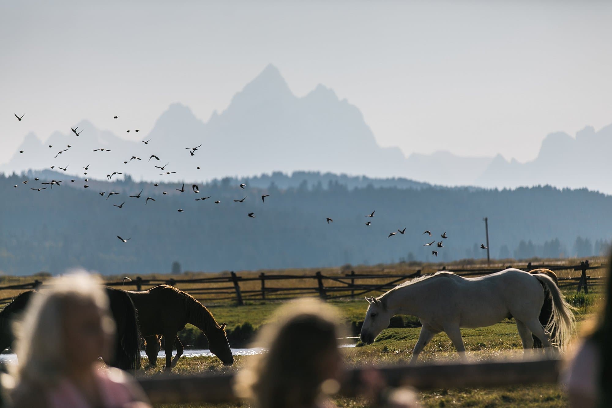 Diamond cross ranch weddings