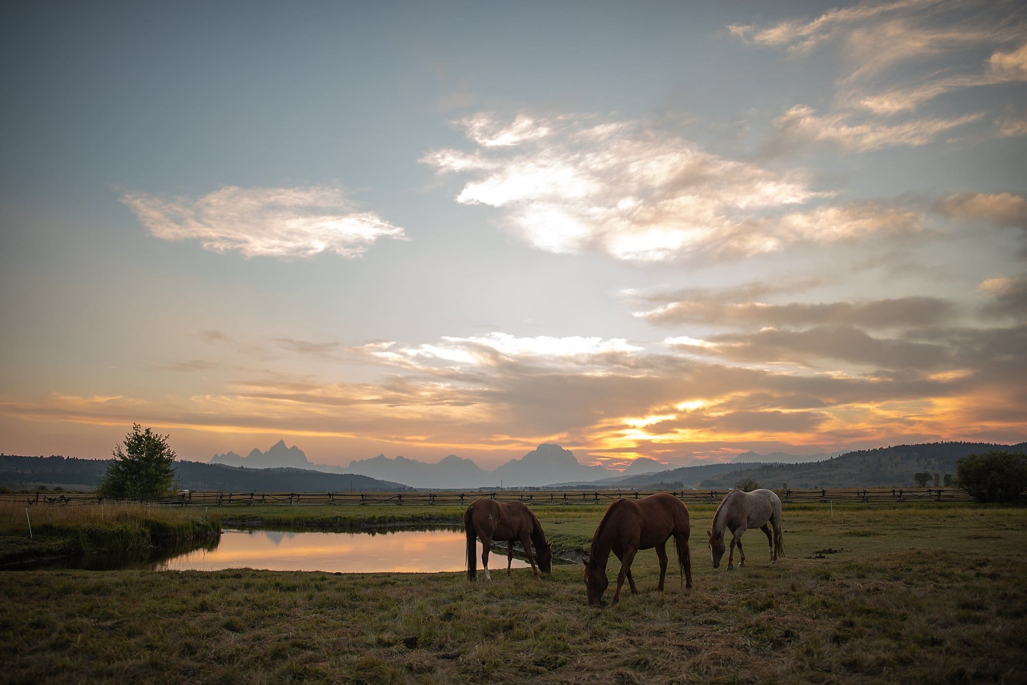 grand teton destination wedding