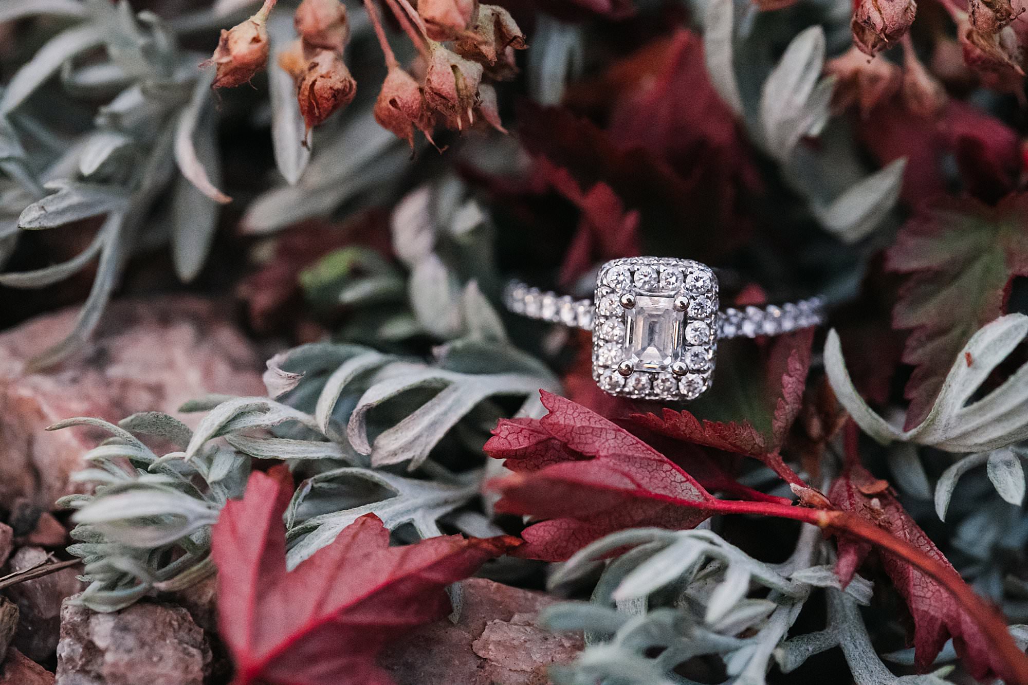 ring shot in sage and burgundy leaves