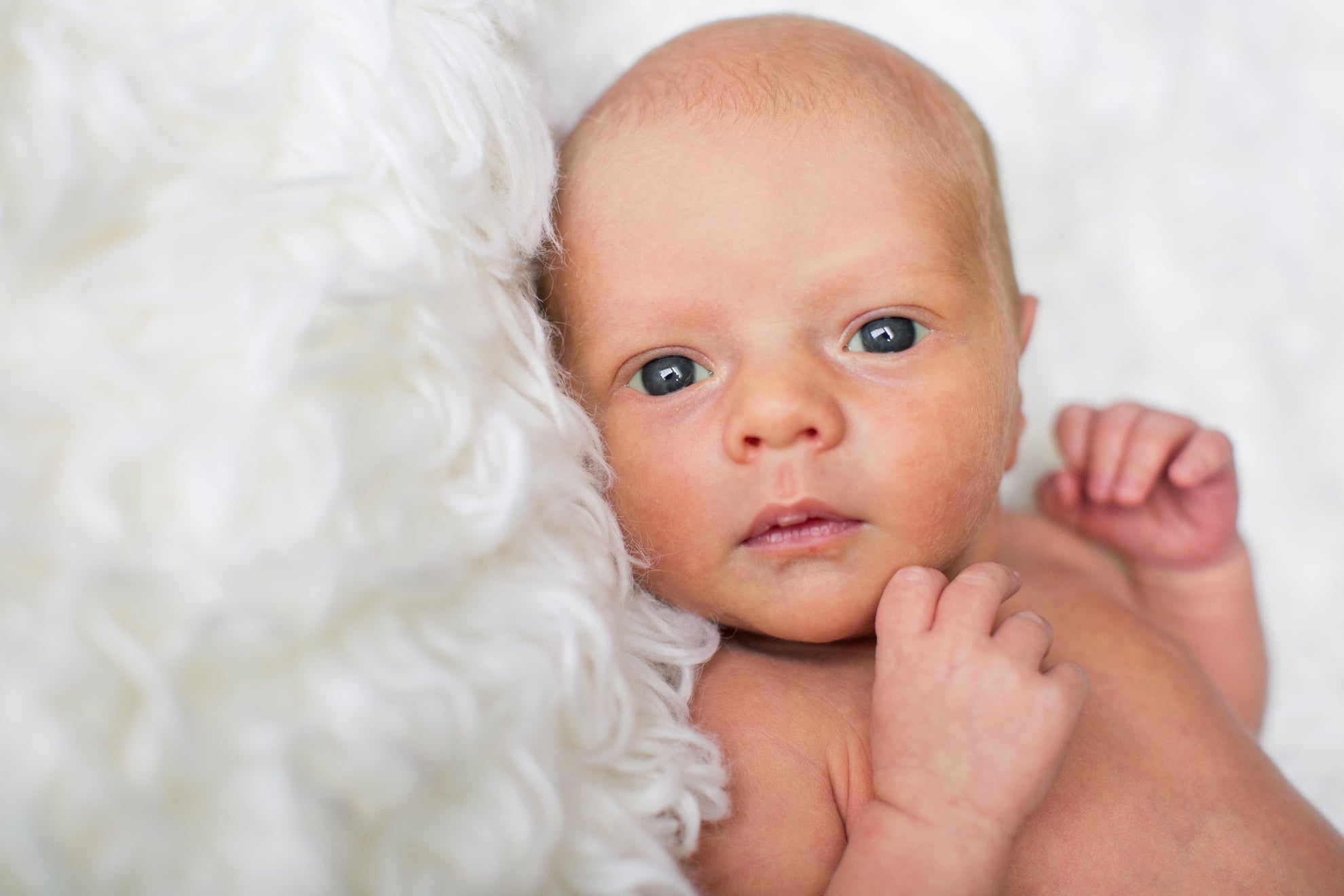 cheyenne newborn photographers