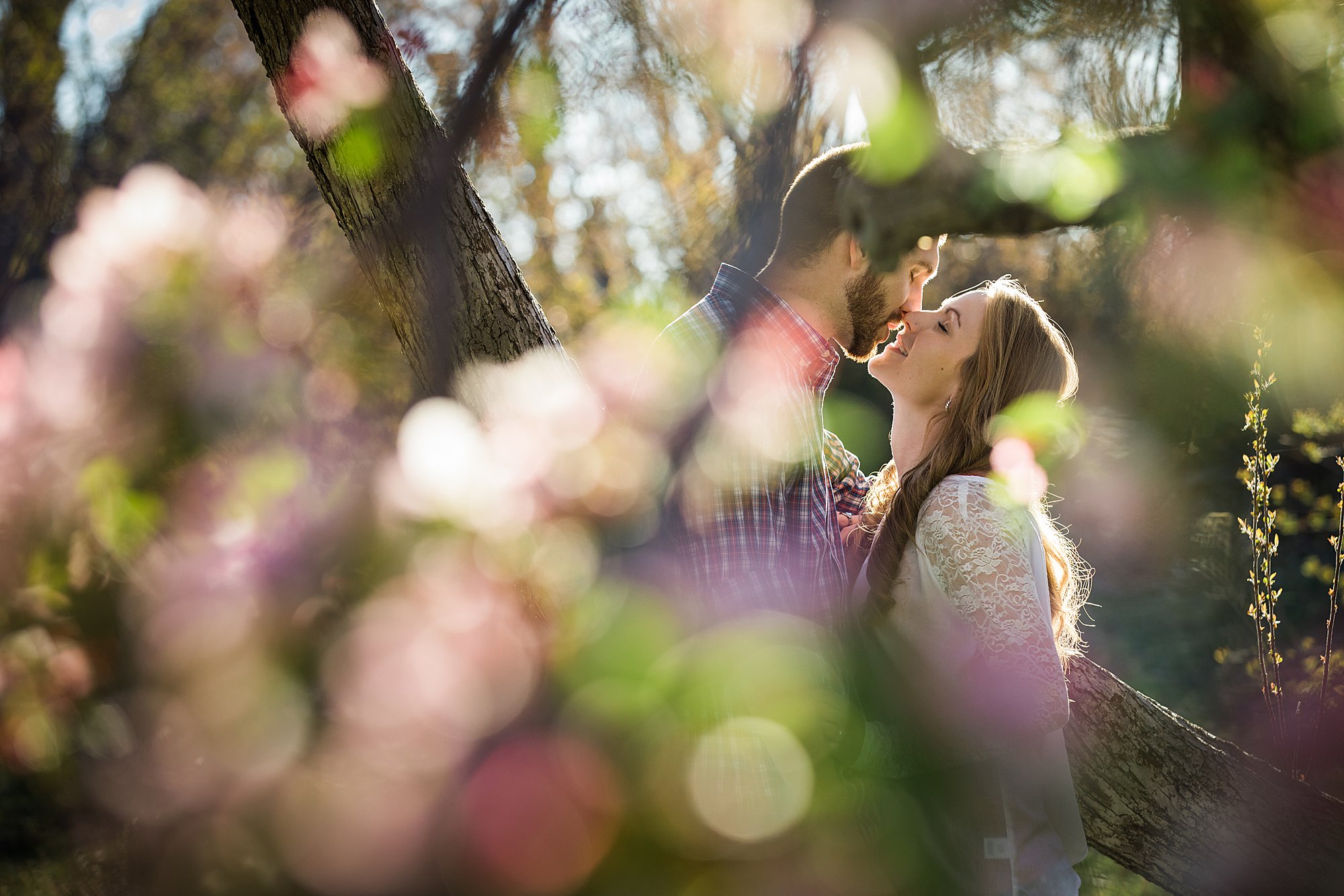 Apple blossom engagement photos