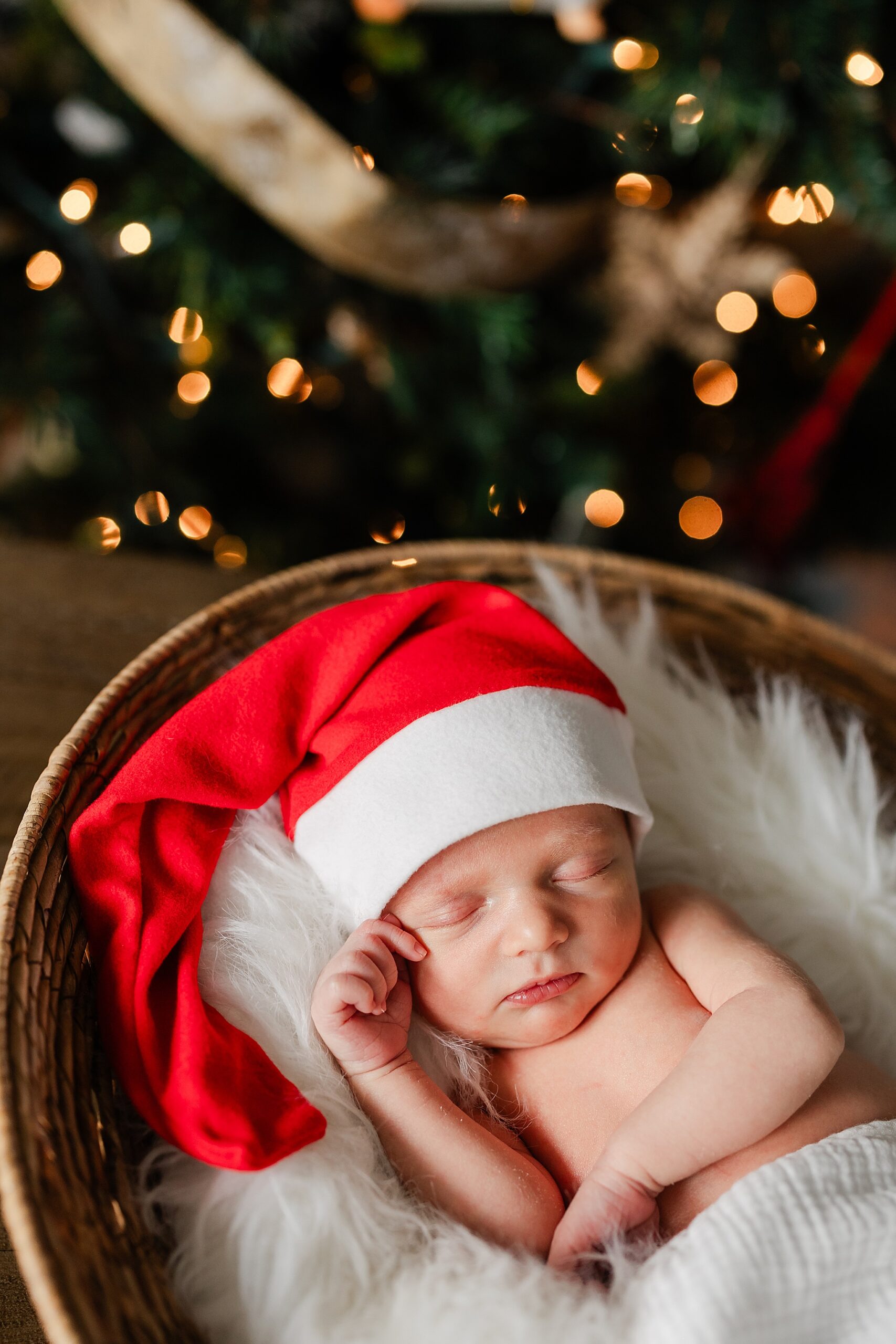 Christmas newborn Santa photos