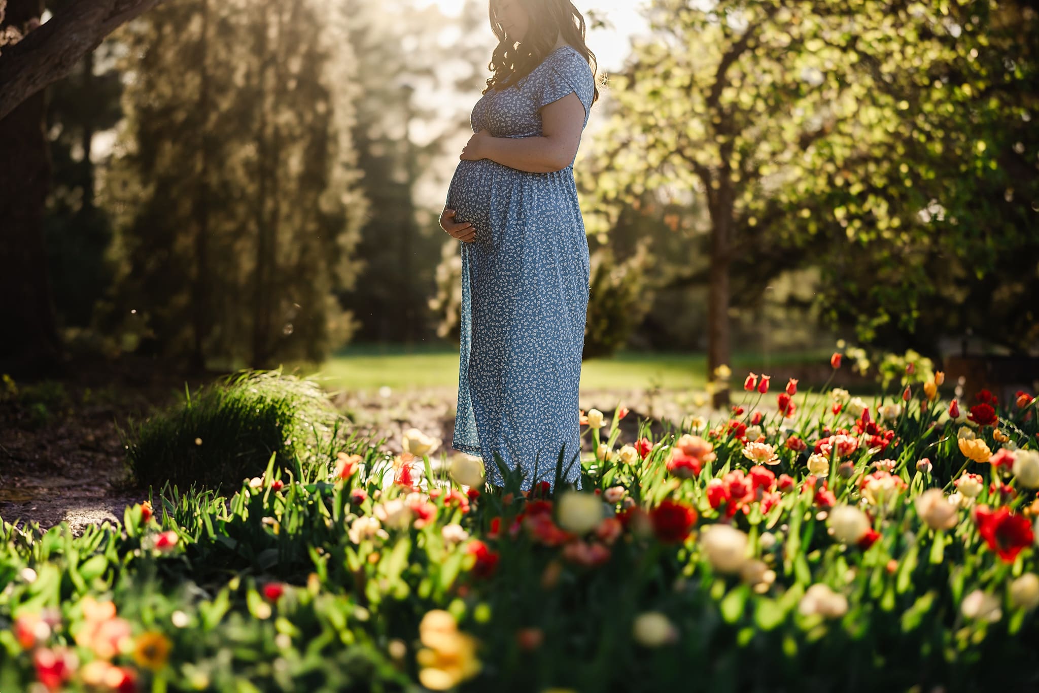 Cheyenne botanic gardens